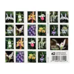 U.S. 2021 Wild Orchids Framed Forever Stamps