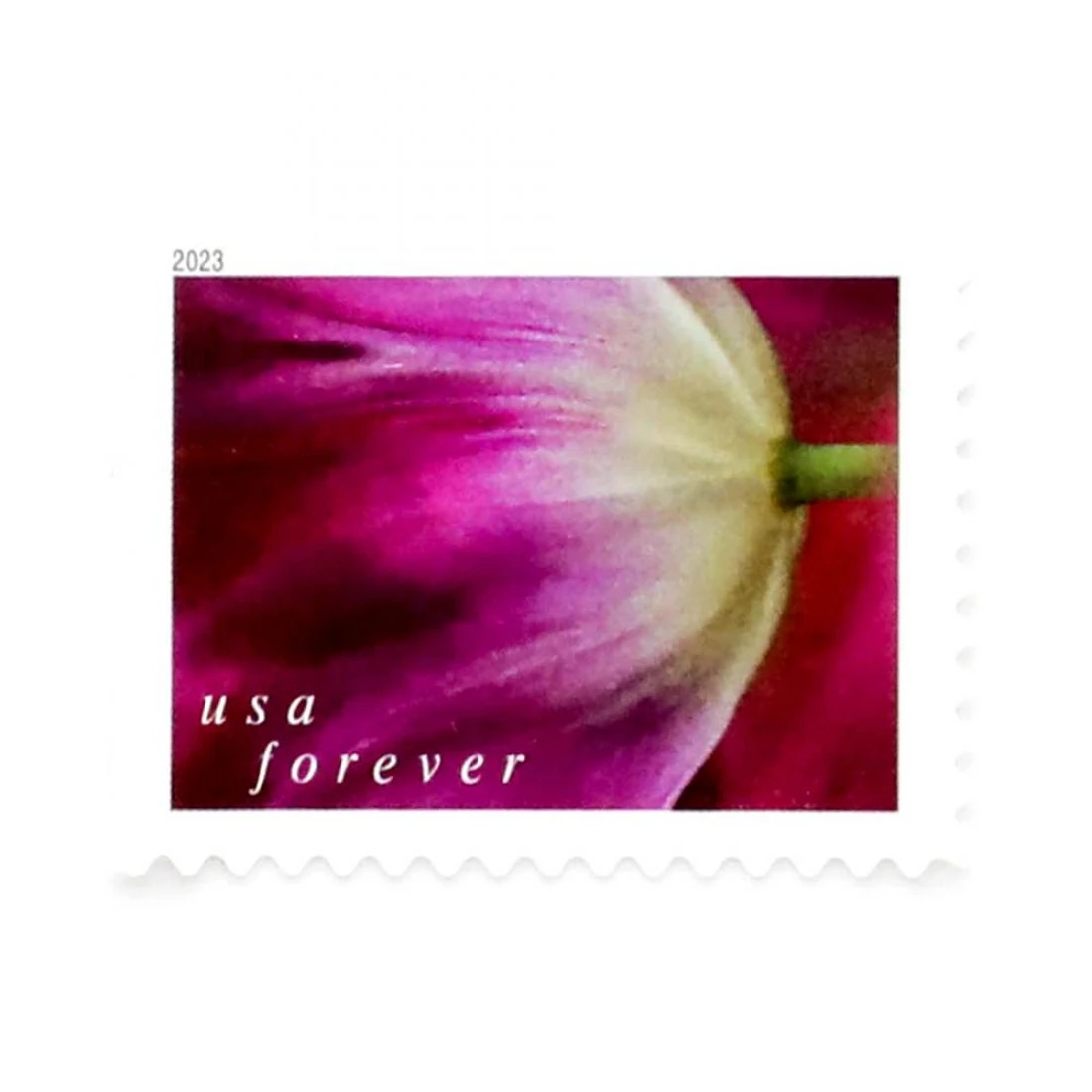 product_image_1767477759 2023 US First-Class Forever Stamps - Tulip Blossoms booklet